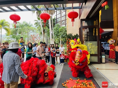 中国旅游集团海南多板块业务实现新春“开门红”